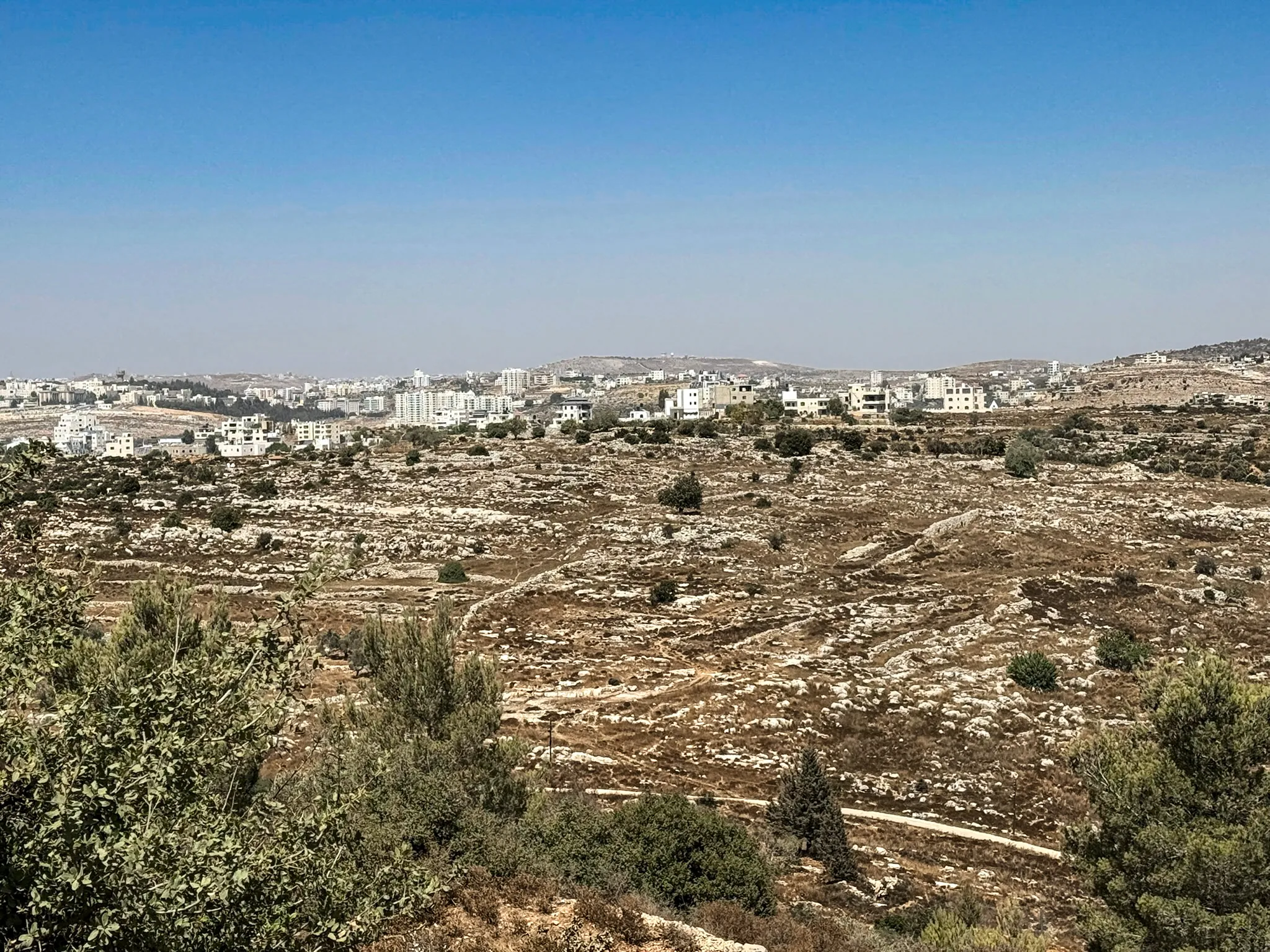 Terraced hills in Judea under an open sky